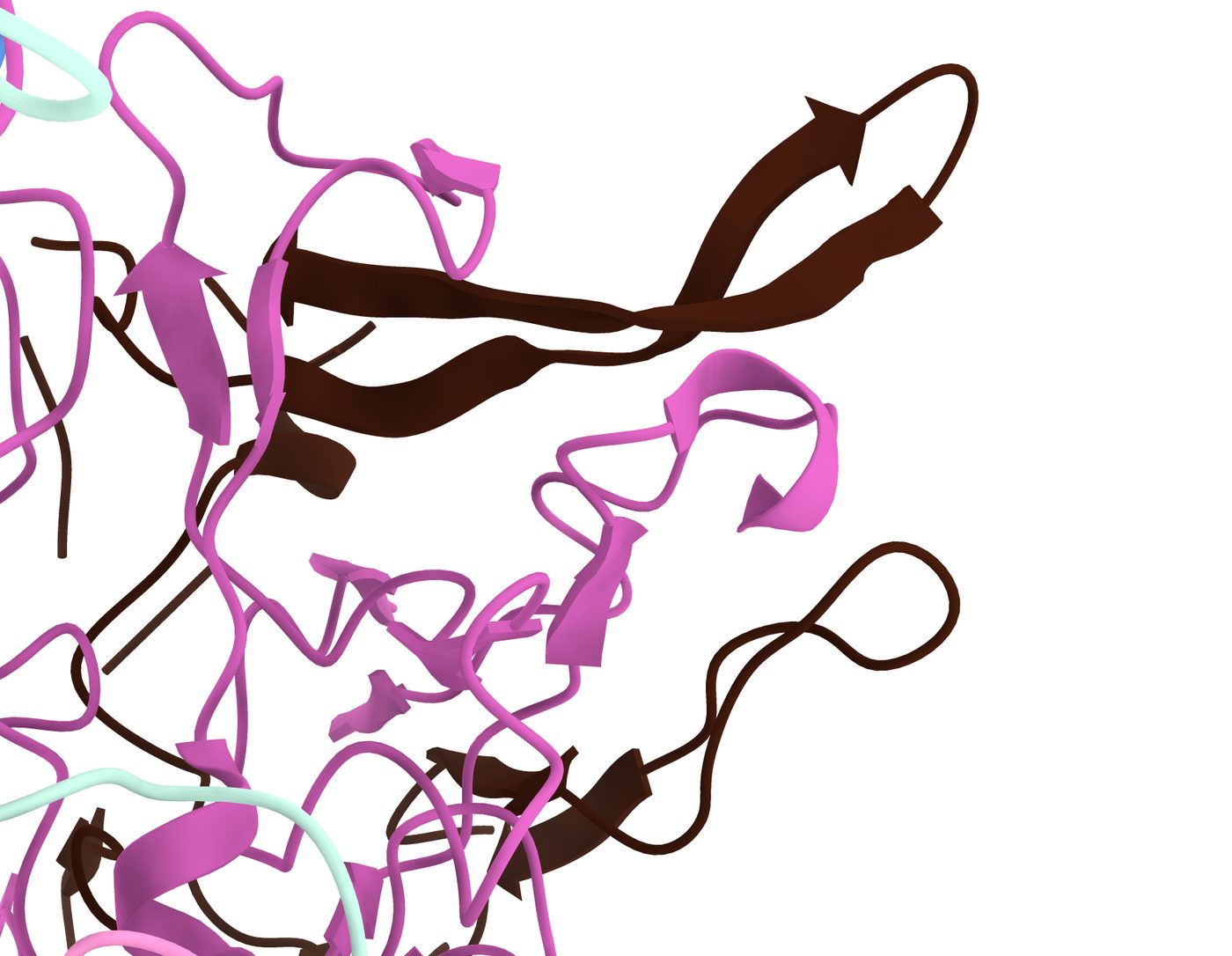 Protein structure of the surface of a virus