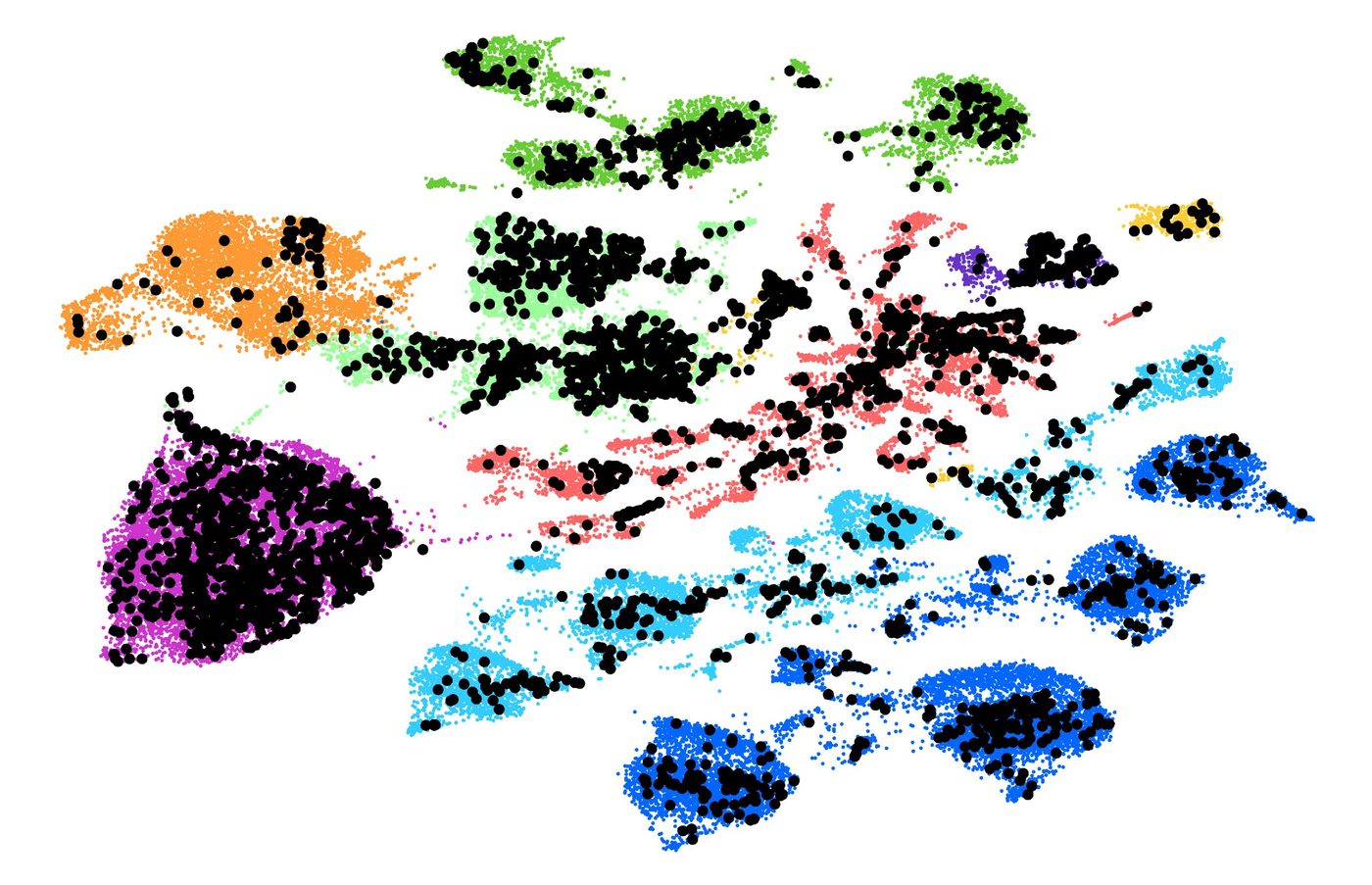 UMAP projection of single-cell retinal transcriptomes