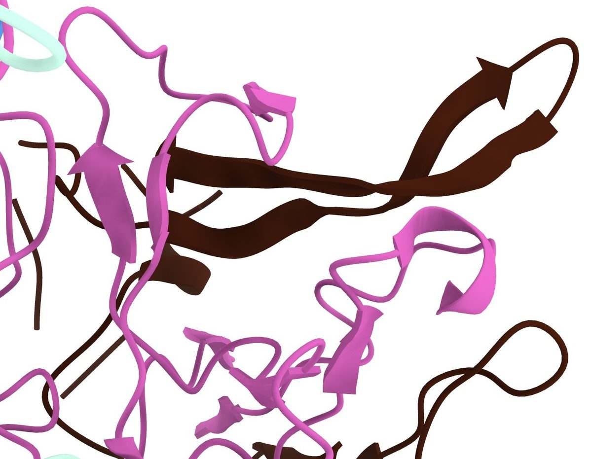 Protein structure of the surface of a virus